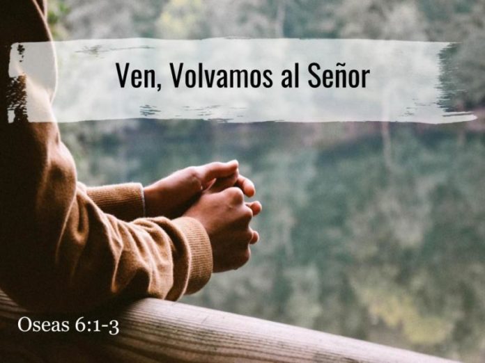 volvamos a las primeras obras
